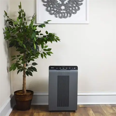 Очиститель воздуха Winix 5300-2 с фильтром True HEPA