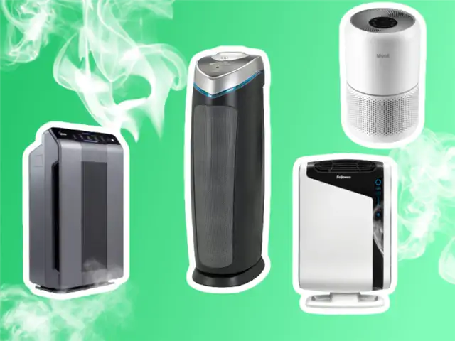 Очиститель воздуха с True HEPA от плесени