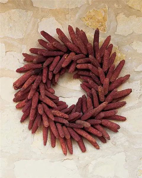 Венок из сушеной кукурузы