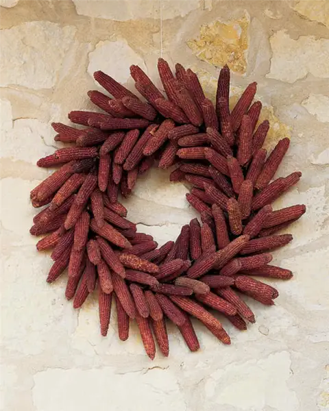 Венок из сушеной кукурузы
