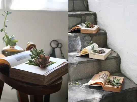diy-book-planter