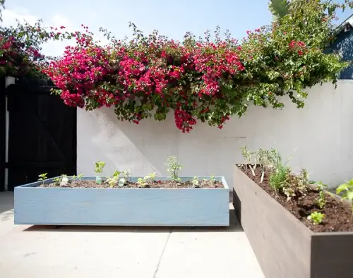 diy-outdoor-wood-planters-on-casters