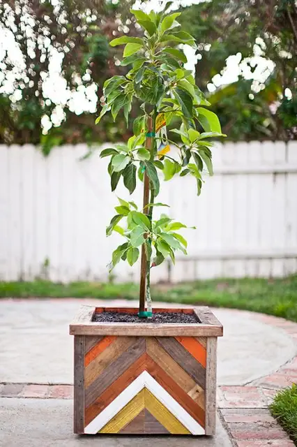 diy-planter
