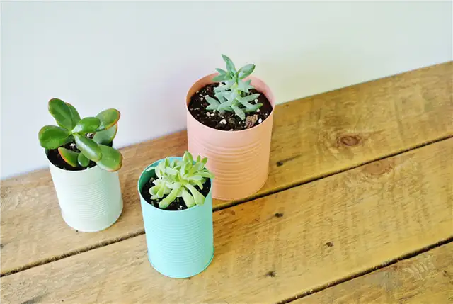 красочный плантатор из жестяной банки DIY (своими руками)