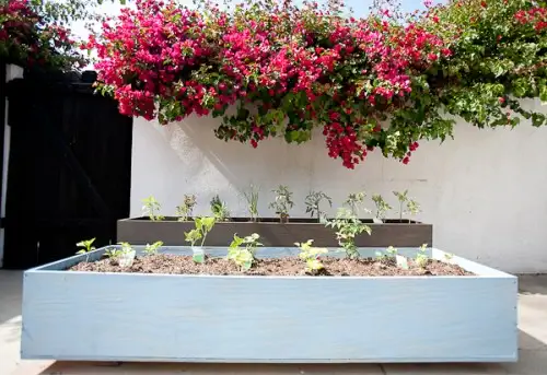 diy-outdoor-wood-planters-on-casters3