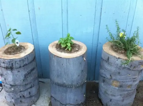 diy-tree-stump-planters