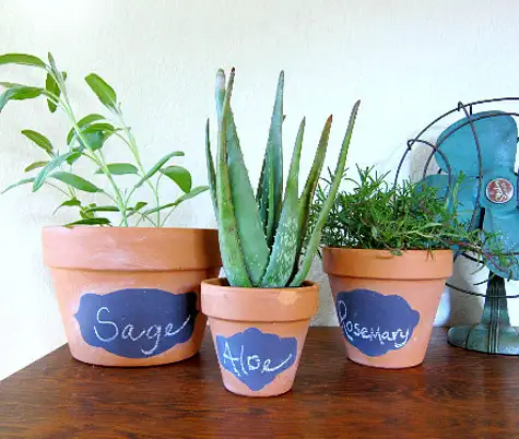 8_3_bonnie_pots