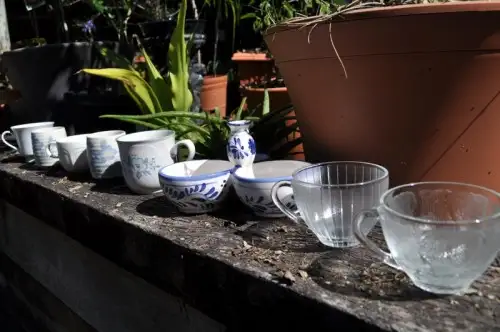 diy-indoor-teacup-succulent-garden-2