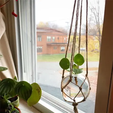 Маленькая станция для размножения DIY (своими руками)