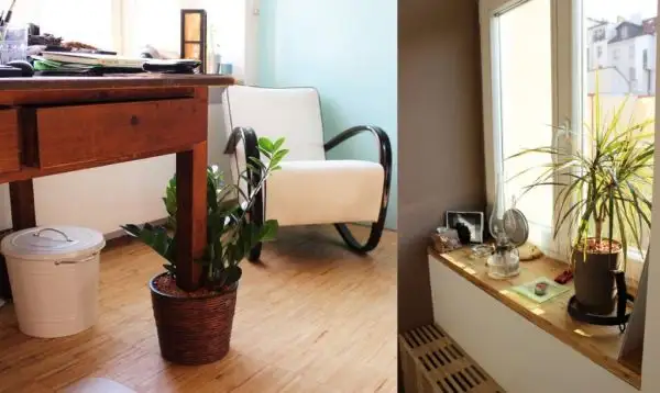 50m-apartment-with-unique-features4