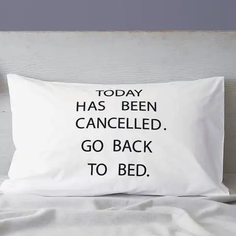 today-has-been-cancelled-cushion-cover
