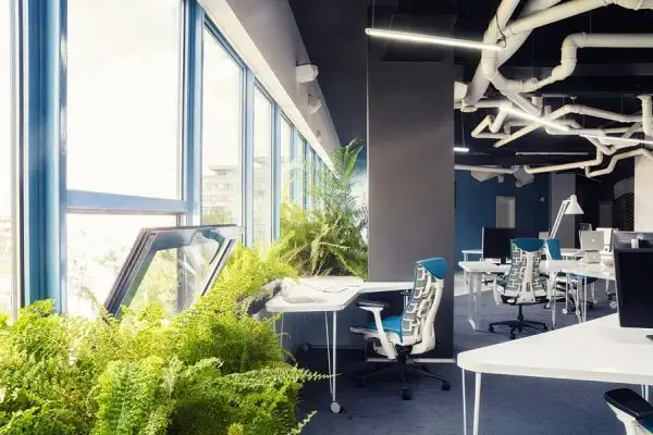 Game-Studio-2o-Office-in-Timisoara5
