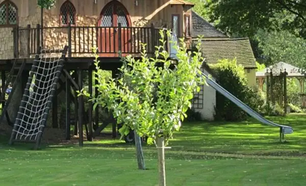 blue-forests-treehouse-office5