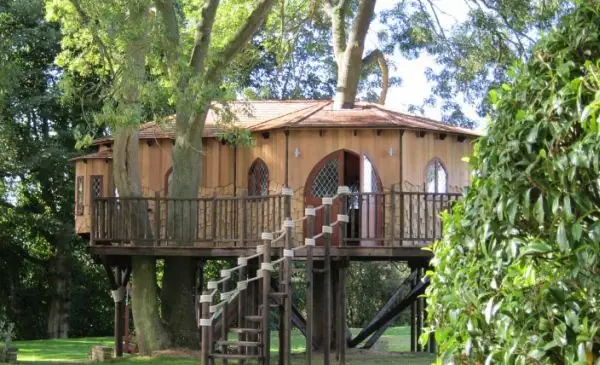 blue-forests-treehouse-office