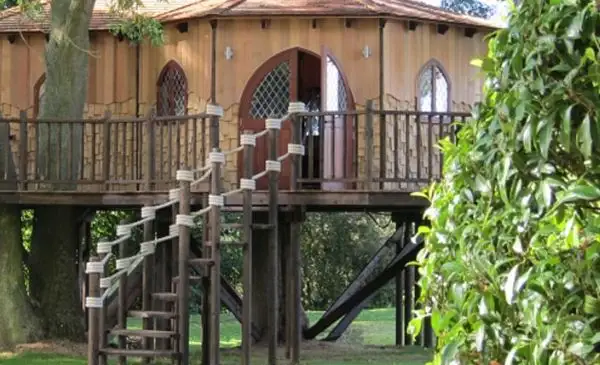 blue-forests-treehouse-office3