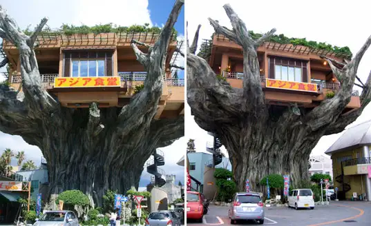 japantreehouse-comp