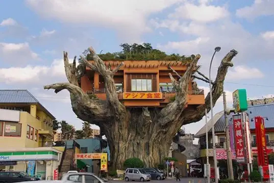 japantreehouse2