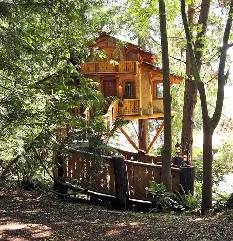 normal-tree-house