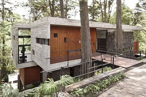 corallo-house-forest