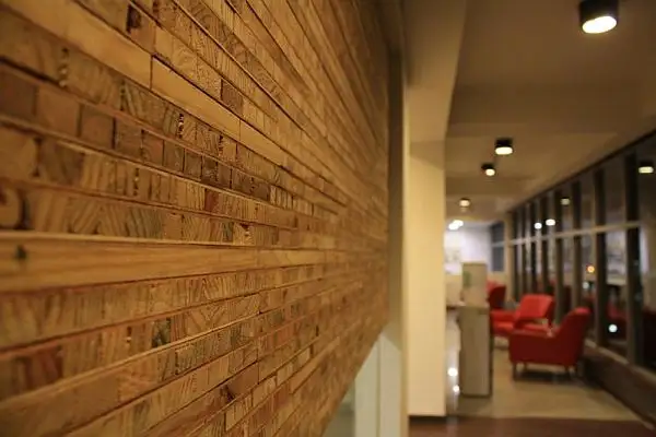 white-canvas-22-feet-office9