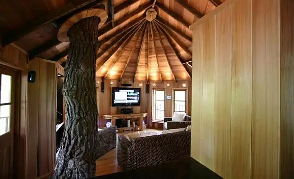 TreeHouse_High_Tech_Hideaway_2