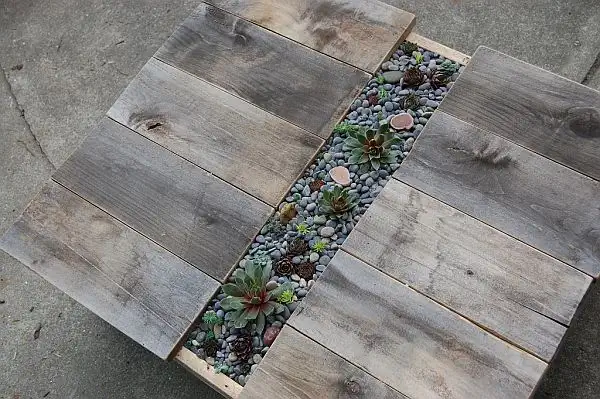diy-succulent-table5