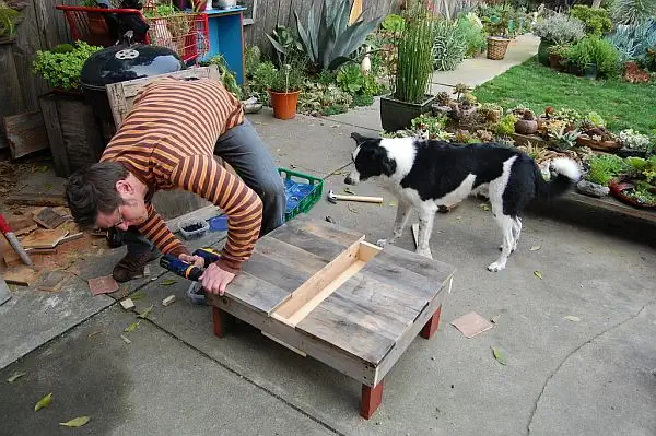 diy-succulent-table4