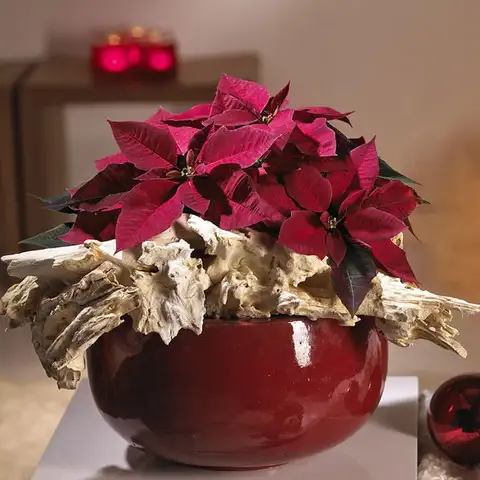 new-year-in-chalet-style-details6