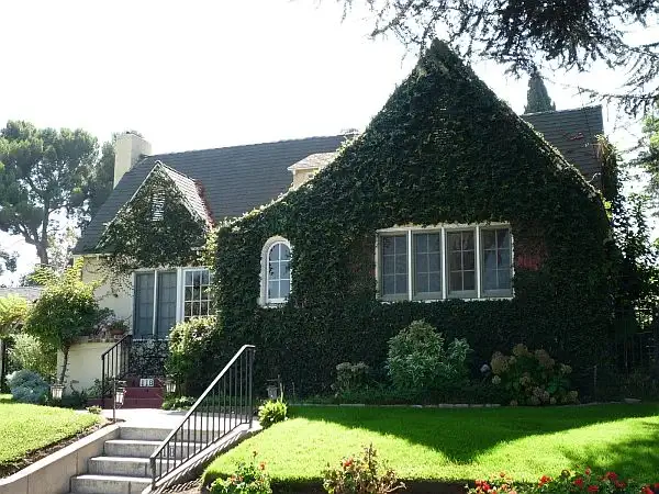 ivy-covered-cottage-picture6