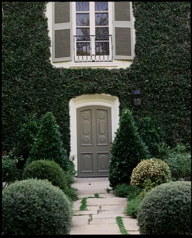 ivy-covered-cottage-picture2