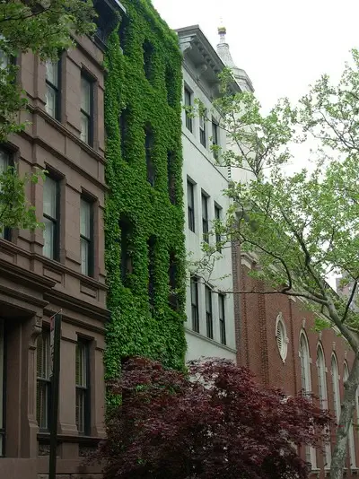 ivy-covered-cottage-picture3