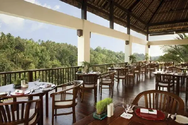 infinity-pools-bali-ubud-hotel7