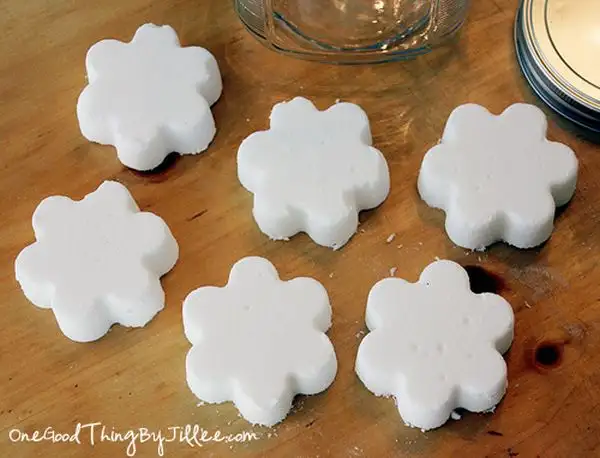 diy-deodorizing-disks1