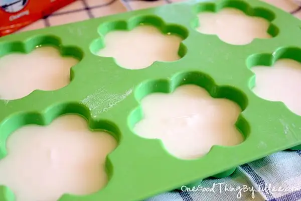 diy-deodorizing-disks