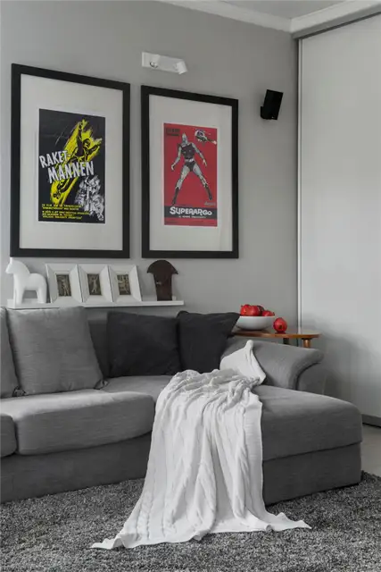 Compact-Bachelor-Haven-in-Moscow-Wall-Art