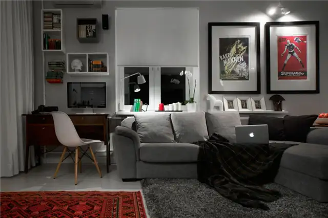 Compact-Bachelor-Haven-in-Moscow-Living