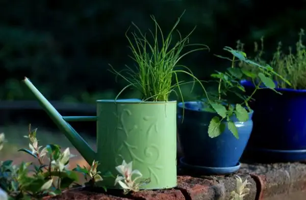 diy-watering-can-upcycle