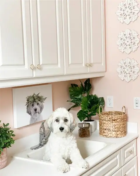 Sherwin Williams Blushing