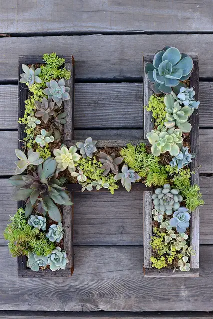 Настенная буква для суккулентов diy