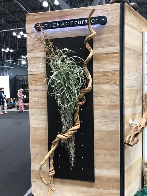 Настенная система Artefact Curator