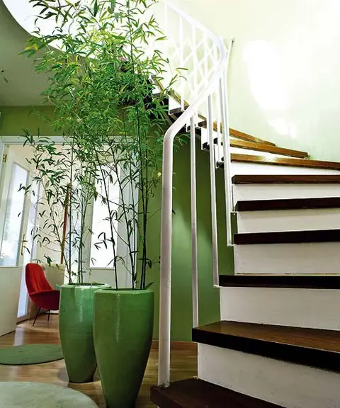 green-and-brown-hallway-decoration-ideas