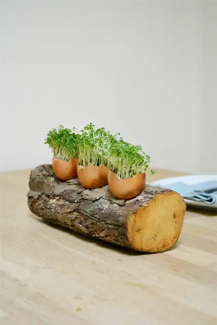 Украшение пасхального стола из яичной скорлупы