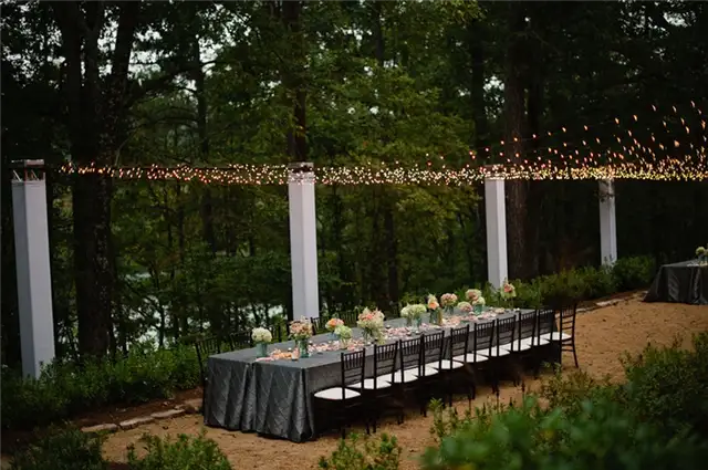string-lights-spectacular-design-for-party