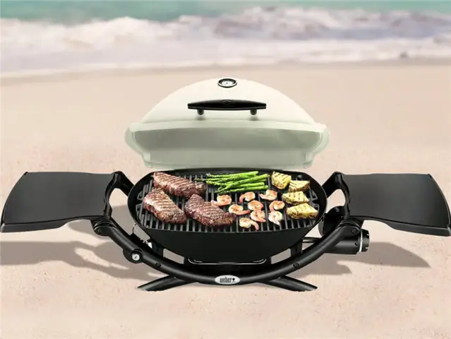 Портативный газовый гриль на пропане Weber Q 2200