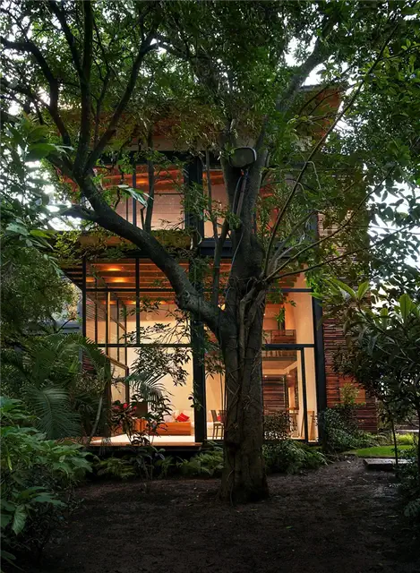 Бетонный дом The Wall House от Guedes Cruz Arquitectos с палубным бассейном