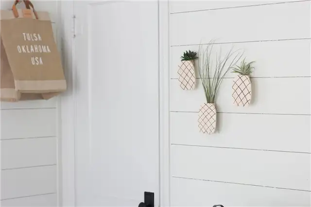 DIY (своими руками) ананас воздушные растения держатель