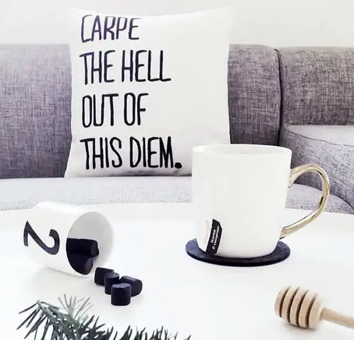 подушка carpe diem
