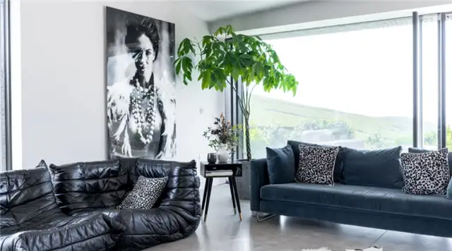 The Early Risers Interior Design - угловые растения