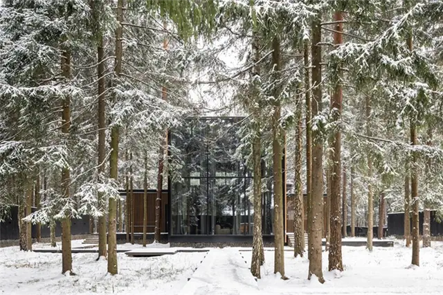 Лесной дом roma house buro