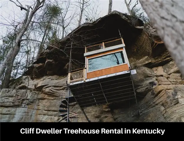 Аренда домика на дереве Cliff Dweller в Кентукки